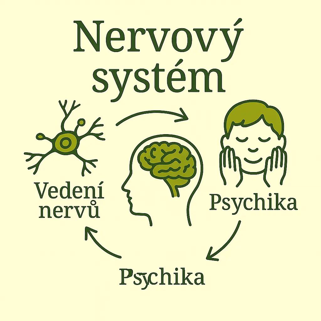2,Nervový systém